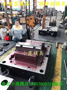 塑膠模具 奇異果藍(lán)子模具 火龍果藍(lán)子模具 檸檬藍(lán)子模具