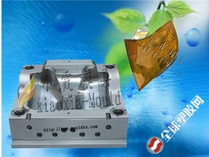 頭燈塑料模具的研制與大型塑膠模具制造關鍵技術