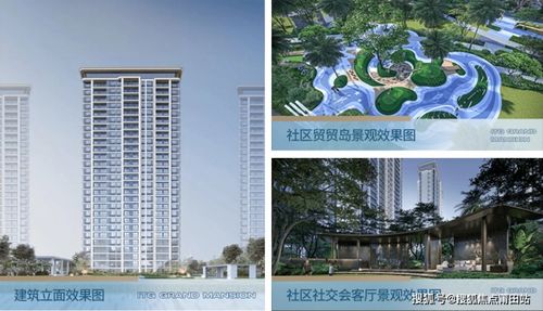 福州國貿(mào)江嶼原今日新聞 真實(shí)報(bào)道 火遍整個(gè)福州