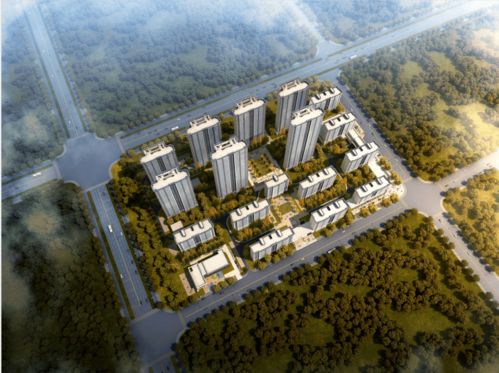 國安建設集團榮獲中梁地產(chǎn)集團合作總包單位優(yōu)秀供應商稱號